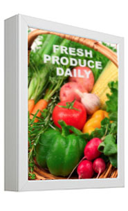 SwingSnap Easy Snap-Open Backlit Light Box (5" Deep)