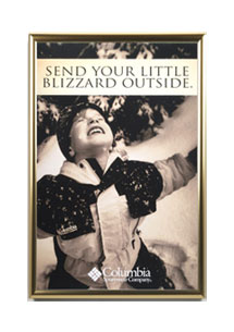 Large Format Poster SwingFrame, Swing Open, Display Frame - to 48"x96"